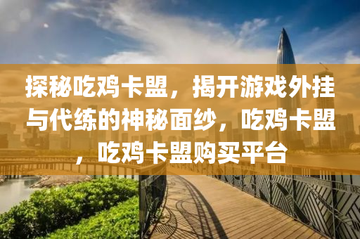 探秘吃鸡卡盟，揭开游戏外挂与代练的神秘面纱，吃鸡卡盟，吃鸡卡盟购买平台