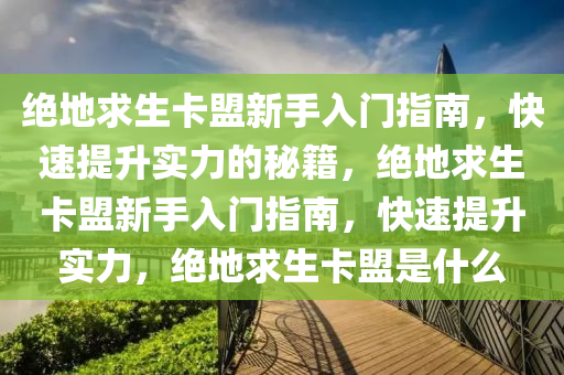 绝地求生卡盟新手入门指南，快速提升实力的秘籍，绝地求生卡盟新手入门指南，快速提升实力，绝地求生卡盟是什么