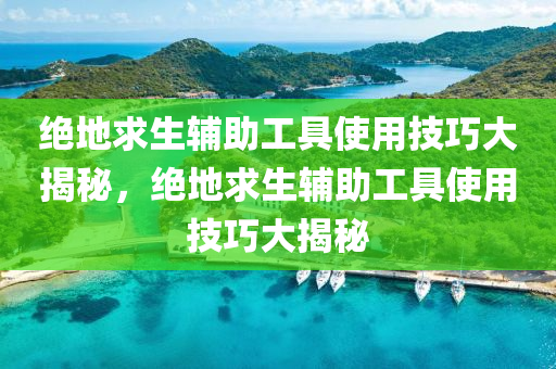 绝地求生辅助工具使用技巧大揭秘，绝地求生辅助工具使用技巧大揭秘