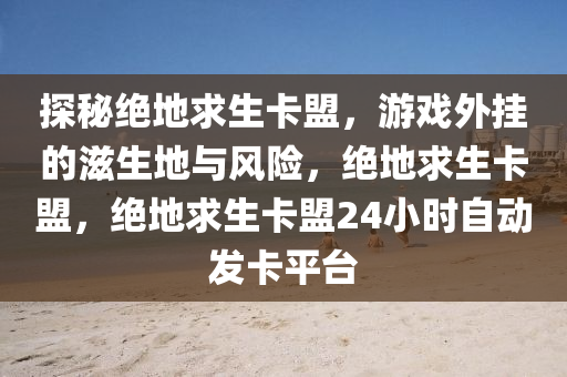 探秘绝地求生卡盟，游戏外挂的滋生地与风险，绝地求生卡盟，绝地求生卡盟24小时自动发卡平台