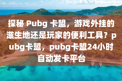 探秘 Pubg 卡盟，游戏外挂的滋生地还是玩家的便利工具？pubg卡盟，pubg卡盟24小时自动发卡平台