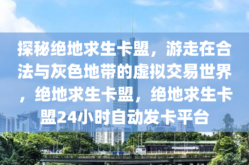 探秘绝地求生卡盟，游走在合法与灰色地带的虚拟交易世界，绝地求生卡盟，绝地求生卡盟24小时自动发卡平台