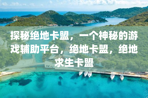 探秘绝地卡盟，一个神秘的游戏辅助平台，绝地卡盟，绝地求生卡盟