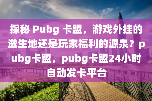 探秘 Pubg 卡盟，游戏外挂的滋生地还是玩家福利的源泉？pubg卡盟，pubg卡盟24小时自动发卡平台