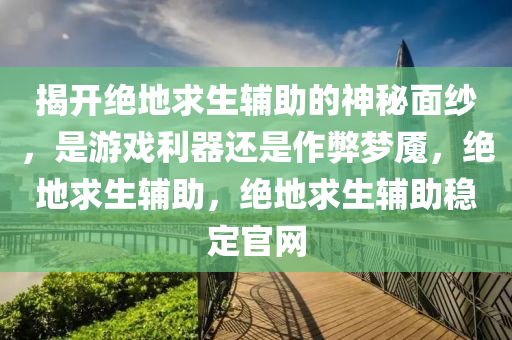 揭开绝地求生辅助的神秘面纱，是游戏利器还是作弊梦魇，绝地求生辅助，绝地求生辅助稳定官网