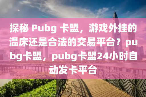 探秘 Pubg 卡盟，游戏外挂的温床还是合法的交易平台？pubg卡盟，pubg卡盟24小时自动发卡平台