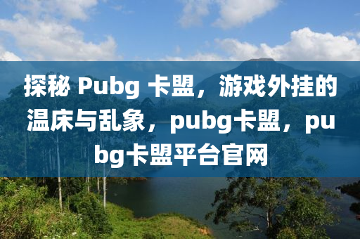 探秘 Pubg 卡盟，游戏外挂的温床与乱象，pubg卡盟，pubg卡盟平台官网