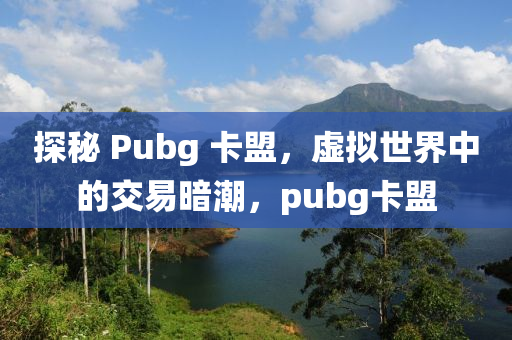 探秘 Pubg 卡盟，虚拟世界中的交易暗潮，pubg卡盟