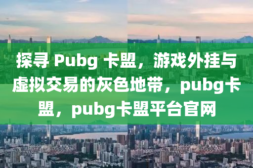 探寻 Pubg 卡盟，游戏外挂与虚拟交易的灰色地带，pubg卡盟，pubg卡盟平台官网