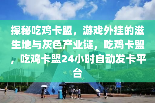 探秘吃鸡卡盟，游戏外挂的滋生地与灰色产业链，吃鸡卡盟，吃鸡卡盟24小时自动发卡平台