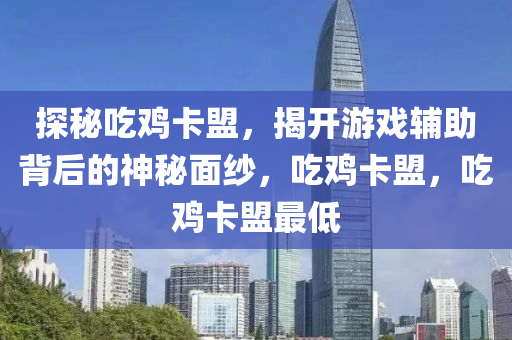 探秘吃鸡卡盟，揭开游戏辅助背后的神秘面纱，吃鸡卡盟，吃鸡卡盟最低
