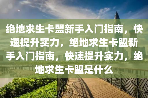 绝地求生卡盟新手入门指南，快速提升实力，绝地求生卡盟新手入门指南，快速提升实力，绝地求生卡盟是什么