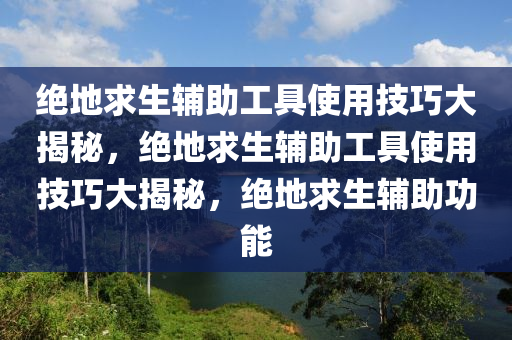 绝地求生辅助工具使用技巧大揭秘，绝地求生辅助工具使用技巧大揭秘，绝地求生辅助功能