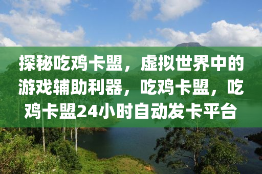探秘吃鸡卡盟，虚拟世界中的游戏辅助利器，吃鸡卡盟，吃鸡卡盟24小时自动发卡平台