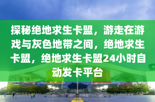探秘绝地求生卡盟，游走在游戏与灰色地带之间，绝地求生卡盟，绝地求生卡盟24小时自动发卡平台
