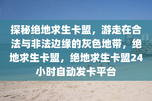 探秘绝地求生卡盟，游走在合法与非法边缘的灰色地带，绝地求生卡盟，绝地求生卡盟24小时自动发卡平台