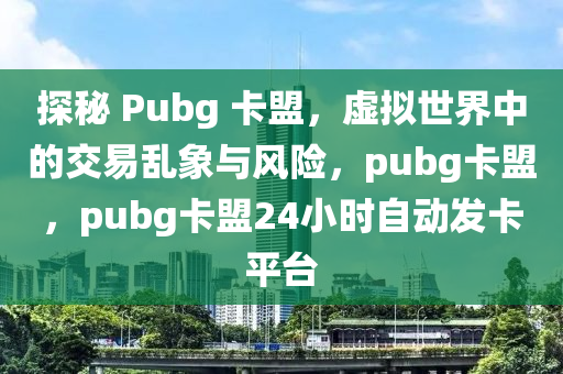 探秘 Pubg 卡盟，虚拟世界中的交易乱象与风险，pubg卡盟，pubg卡盟24小时自动发卡平台