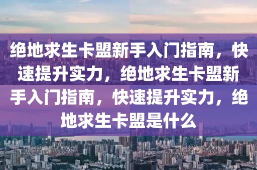 绝地求生卡盟新手入门指南，快速提升实力，绝地求生卡盟新手入门指南，快速提升实力，绝地求生卡盟是什么