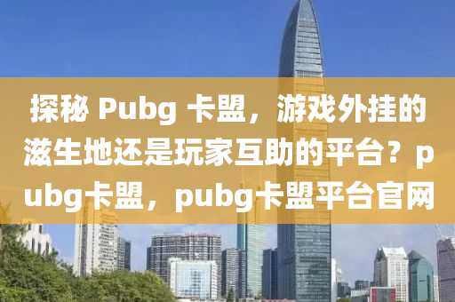 探秘 Pubg 卡盟，游戏外挂的滋生地还是玩家互助的平台？pubg卡盟，pubg卡盟平台官网