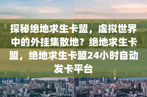 探秘绝地求生卡盟，虚拟世界中的外挂集散地？绝地求生卡盟，绝地求生卡盟24小时自动发卡平台