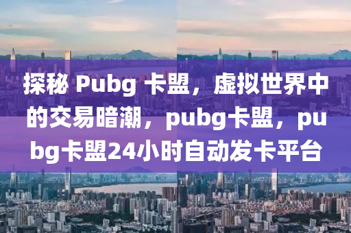 探秘 Pubg 卡盟，虚拟世界中的交易暗潮，pubg卡盟，pubg卡盟24小时自动发卡平台