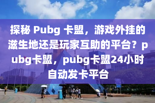 探秘 Pubg 卡盟，游戏外挂的滋生地还是玩家互助的平台？pubg卡盟，pubg卡盟24小时自动发卡平台