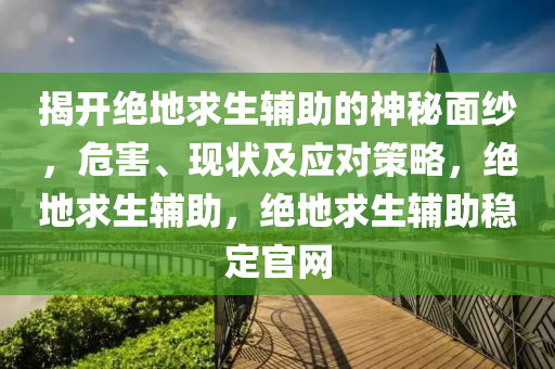 揭开绝地求生辅助的神秘面纱，危害、现状及应对策略，绝地求生辅助，绝地求生辅助稳定官网