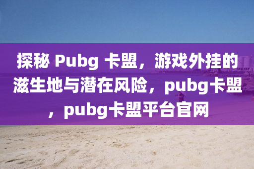 探秘 Pubg 卡盟，游戏外挂的滋生地与潜在风险，pubg卡盟，pubg卡盟平台官网