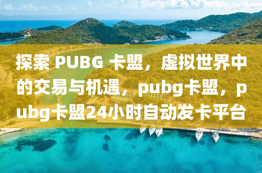 探索 PUBG 卡盟，虚拟世界中的交易与机遇，pubg卡盟，pubg卡盟24小时自动发卡平台