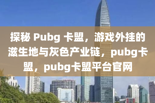 探秘 Pubg 卡盟，游戏外挂的滋生地与灰色产业链，pubg卡盟，pubg卡盟平台官网