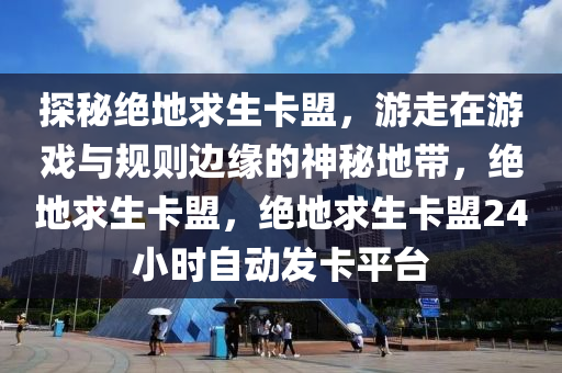 探秘绝地求生卡盟，游走在游戏与规则边缘的神秘地带，绝地求生卡盟，绝地求生卡盟24小时自动发卡平台