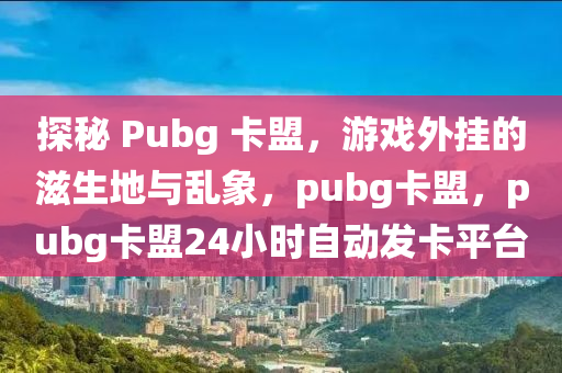 探秘 Pubg 卡盟，游戏外挂的滋生地与乱象，pubg卡盟，pubg卡盟24小时自动发卡平台