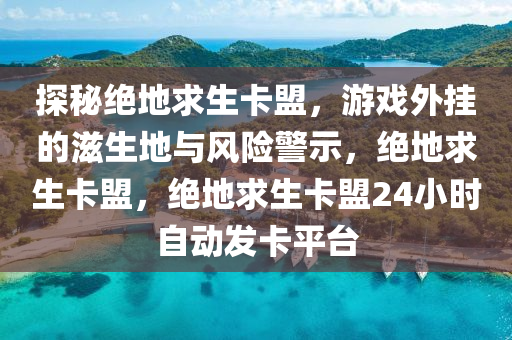 探秘绝地求生卡盟，游戏外挂的滋生地与风险警示，绝地求生卡盟，绝地求生卡盟24小时自动发卡平台