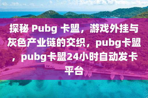 探秘 Pubg 卡盟，游戏外挂与灰色产业链的交织，pubg卡盟，pubg卡盟24小时自动发卡平台