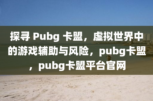 探寻 Pubg 卡盟，虚拟世界中的游戏辅助与风险，pubg卡盟，pubg卡盟平台官网