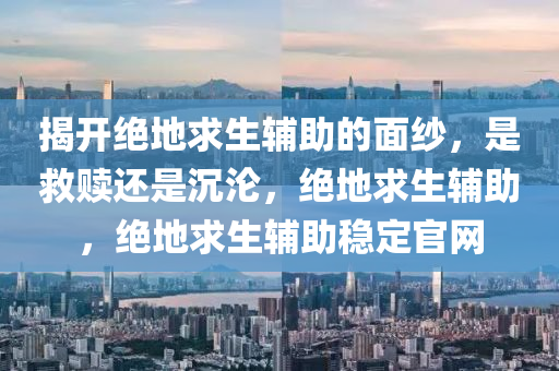 揭开绝地求生辅助的面纱，是救赎还是沉沦，绝地求生辅助，绝地求生辅助稳定官网