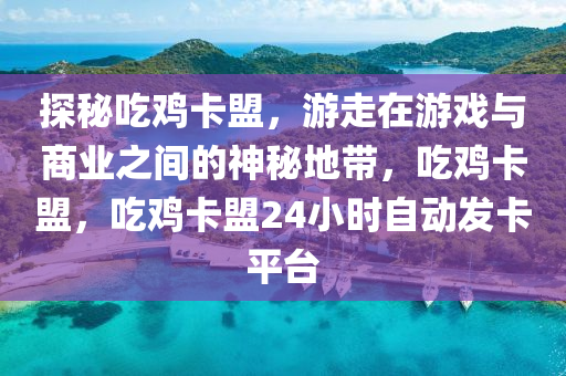 探秘吃鸡卡盟，游走在游戏与商业之间的神秘地带，吃鸡卡盟，吃鸡卡盟24小时自动发卡平台