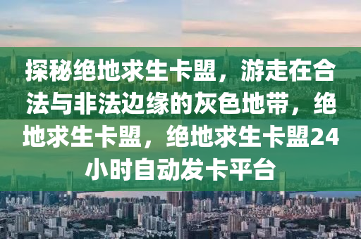 探秘绝地求生卡盟，游走在合法与非法边缘的灰色地带，绝地求生卡盟，绝地求生卡盟24小时自动发卡平台