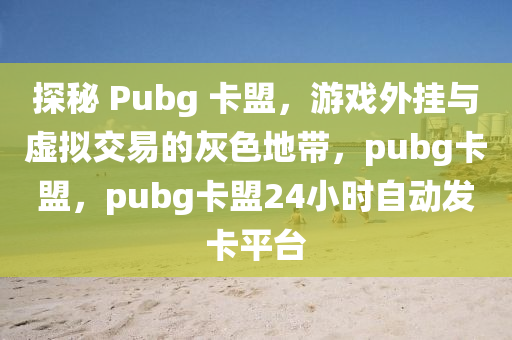 探秘 Pubg 卡盟，游戏外挂与虚拟交易的灰色地带，pubg卡盟，pubg卡盟24小时自动发卡平台