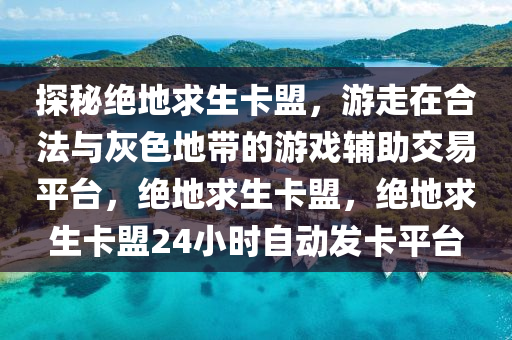 探秘绝地求生卡盟，游走在合法与灰色地带的游戏辅助交易平台，绝地求生卡盟，绝地求生卡盟24小时自动发卡平台