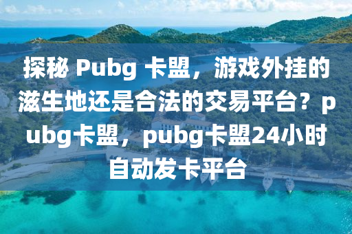 探秘 Pubg 卡盟，游戏外挂的滋生地还是合法的交易平台？pubg卡盟，pubg卡盟24小时自动发卡平台