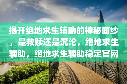 揭开绝地求生辅助的神秘面纱，是救赎还是沉沦，绝地求生辅助，绝地求生辅助稳定官网
