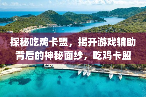 探秘吃鸡卡盟，揭开游戏辅助背后的神秘面纱，吃鸡卡盟