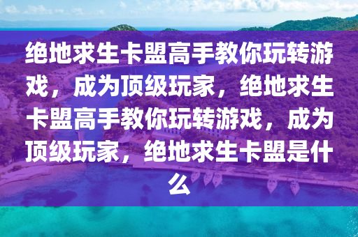 绝地求生卡盟高手教你玩转游戏，成为顶级玩家，绝地求生卡盟高手教你玩转游戏，成为顶级玩家，绝地求生卡盟是什么