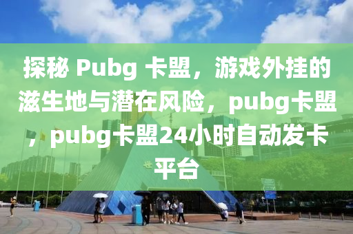探秘 Pubg 卡盟，游戏外挂的滋生地与潜在风险，pubg卡盟，pubg卡盟24小时自动发卡平台