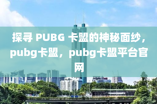 探寻 PUBG 卡盟的神秘面纱，pubg卡盟，pubg卡盟平台官网