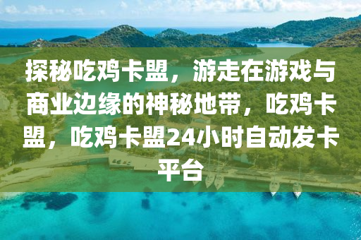 探秘吃鸡卡盟，游走在游戏与商业边缘的神秘地带，吃鸡卡盟，吃鸡卡盟24小时自动发卡平台
