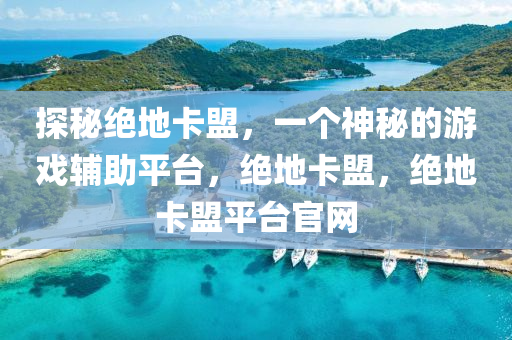 探秘绝地卡盟，一个神秘的游戏辅助平台，绝地卡盟，绝地卡盟平台官网