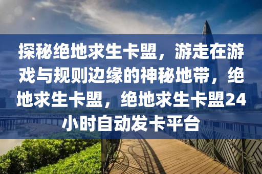 探秘绝地求生卡盟，游走在游戏与规则边缘的神秘地带，绝地求生卡盟，绝地求生卡盟24小时自动发卡平台